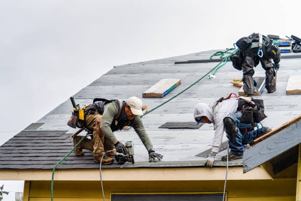 Professional Emergency Roof Repair technician working in Columbus Junction, IA